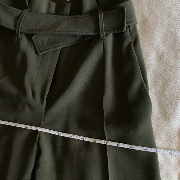 Aritzia Taupe High-Rise Belted Pants - Picture 9 of 12